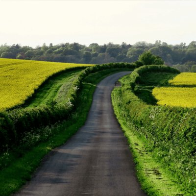 American Country Road